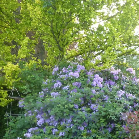 Апартаменты Ferienwohnung Eckernforde